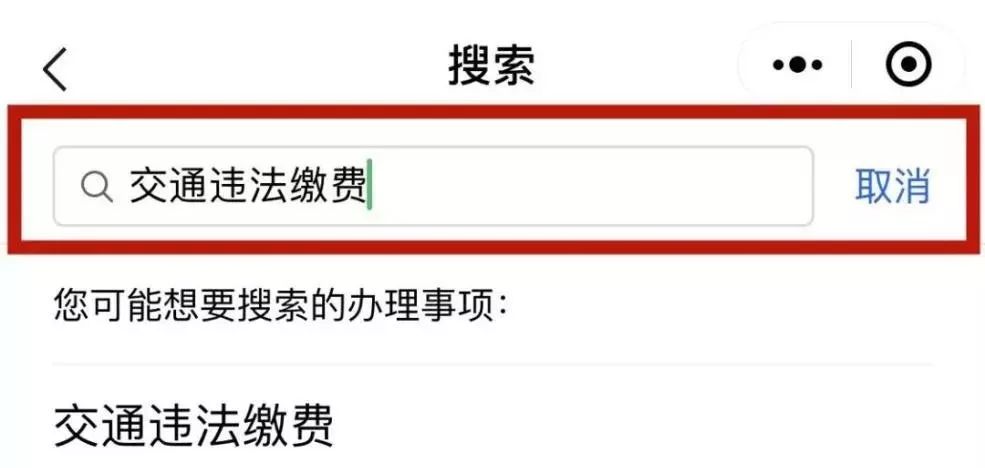 随申办上面怎么交车辆违章罚款,机动车违法罚款缴纳网上办理指南