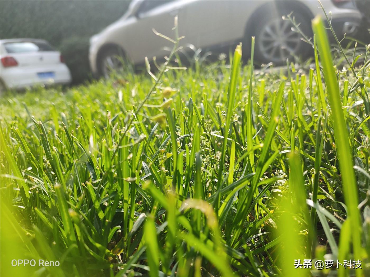 opporeno全系列测评,opporeno全面屏评测