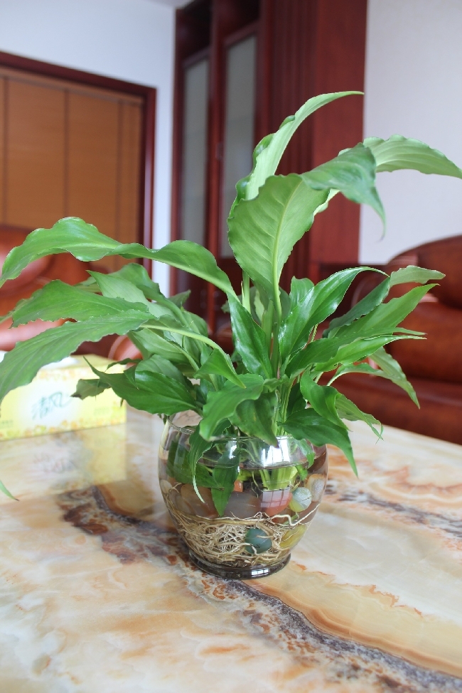 仙琚制药历史交易数据,仙琚制药大跌