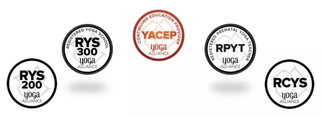 零基础学瑜伽学院,东方瑜伽学院太极瑜伽