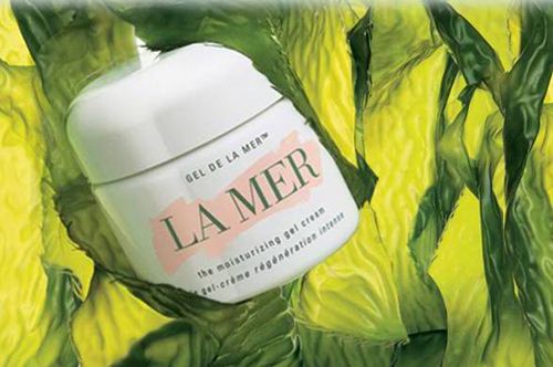 雅诗兰黛兰蔻哪个比较好 (雅诗兰黛兰蔻哪一个更好)