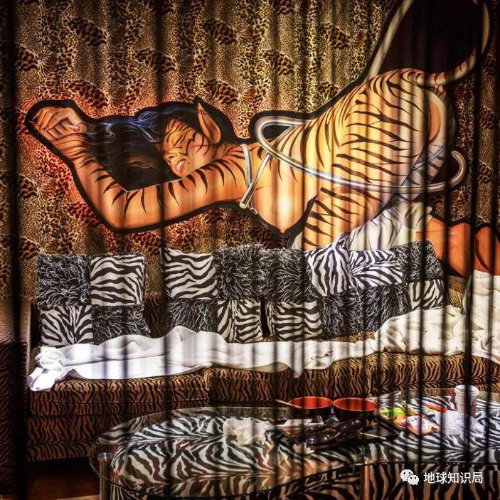 台湾爱情公寓是什么,什么是台湾爱情旅馆