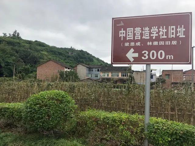 我的中国心中文版,我的中国心全集