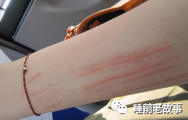 「志怪大百科」——盘点建国之前的猫妖，让画渣喵也想有只猫