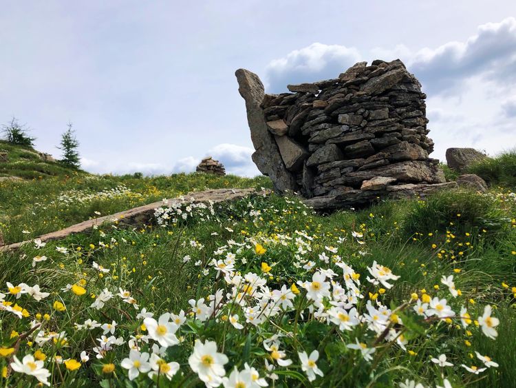 小五台山哪里进入景区,小五台山春天景色