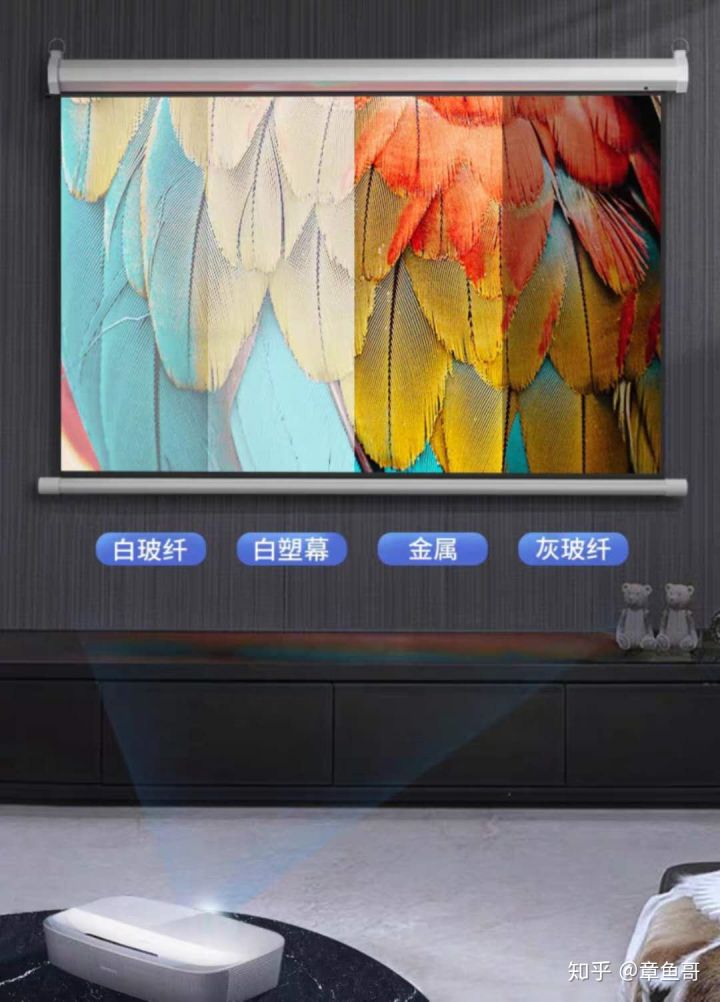 客厅投影幕布怎么选,投影幕布有灰色和白色怎么选