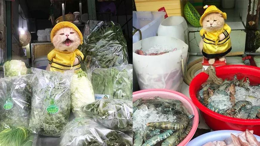 gucci和supreme联名马丁靴,guccisupreme鞋子