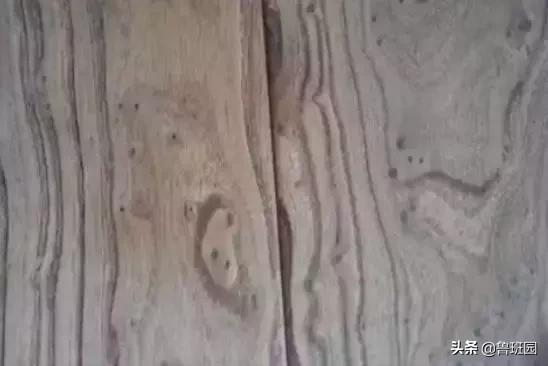 木材受潮腐烂修复,防止木材开裂的最好方法