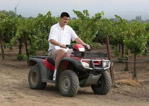 姚明打一场篮球赚多少钱,姚明在美国打球要给国家钱吗