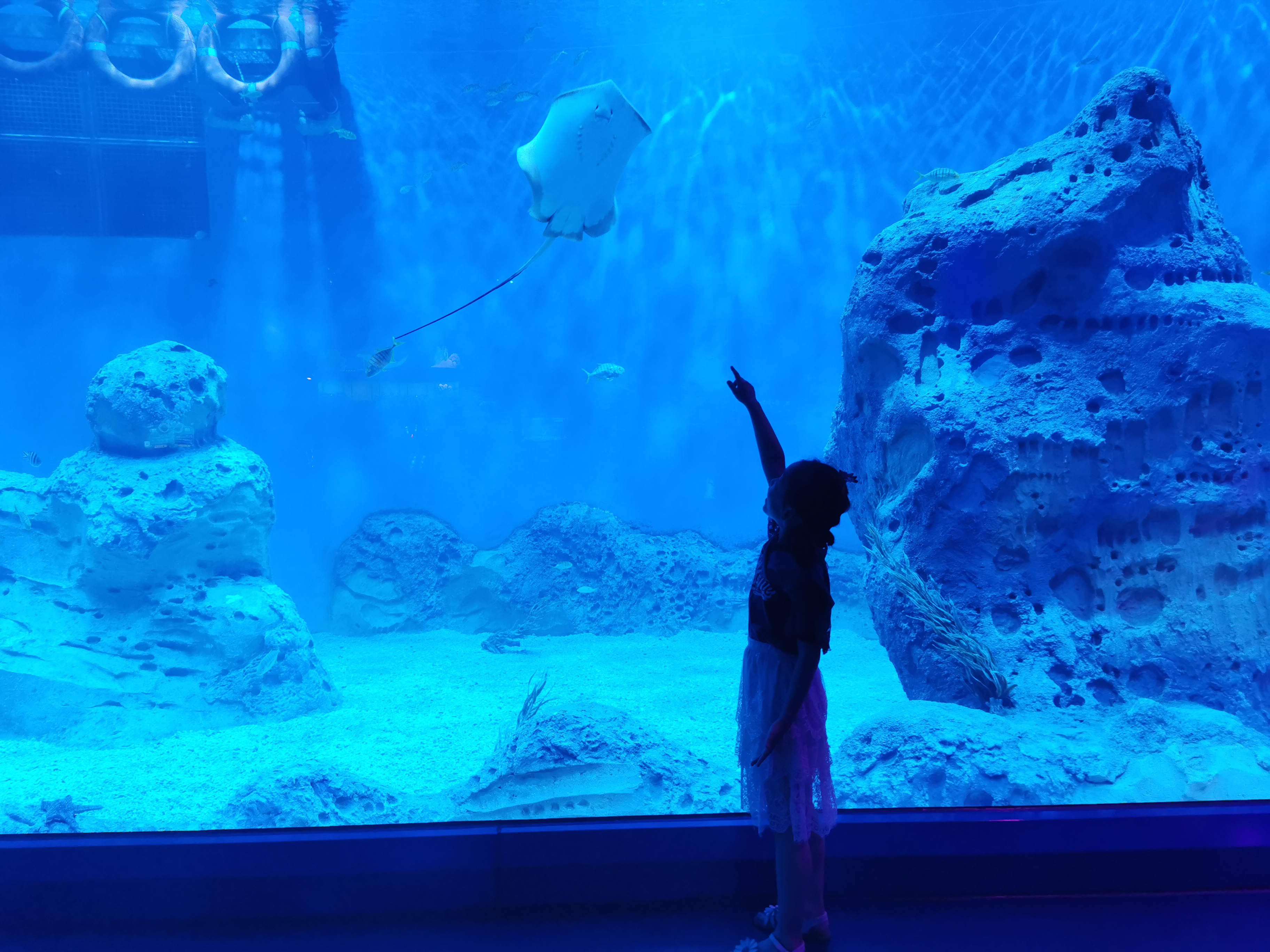 济南遛娃室内去哪里玩,济南遛娃好玩的地方