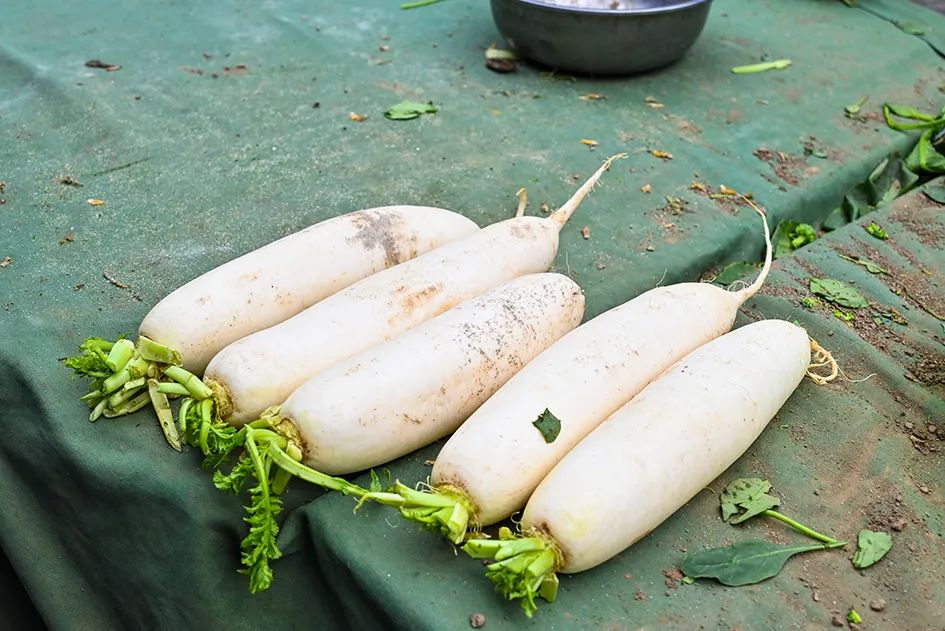 北京南城最大的早市在哪里,北京大兴早市哪个最好