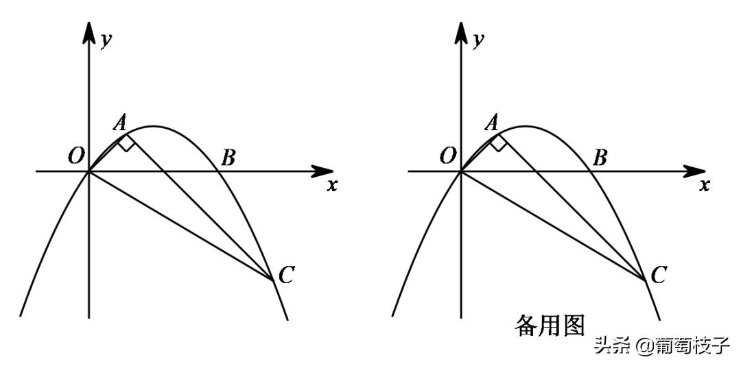 中考数学专题角平分线夹角模型,相似形中考专题