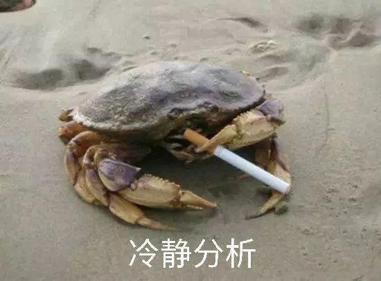 成语表情包照片,成语表情包动态图片