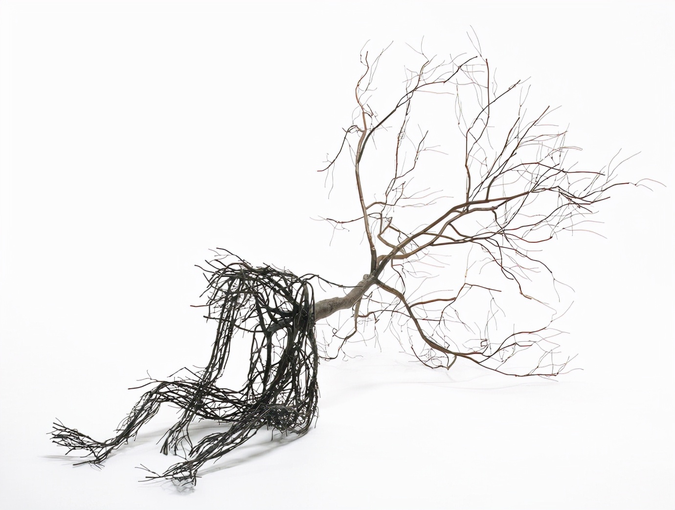 澶湁鎵嶄簡鍒涙剰鎵嬪伐,澶湁鎵嶄簡鍒涙剰鑹烘湳