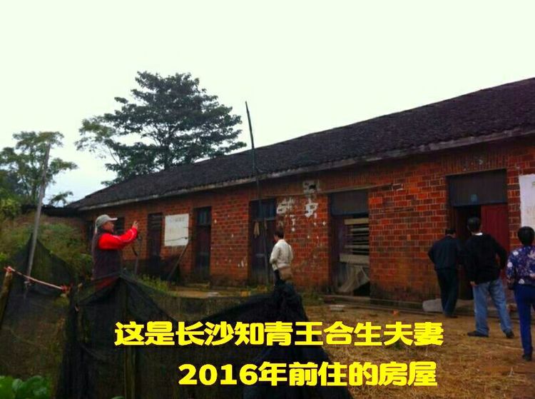 难以释怀的知青情结,60年代的知青情结