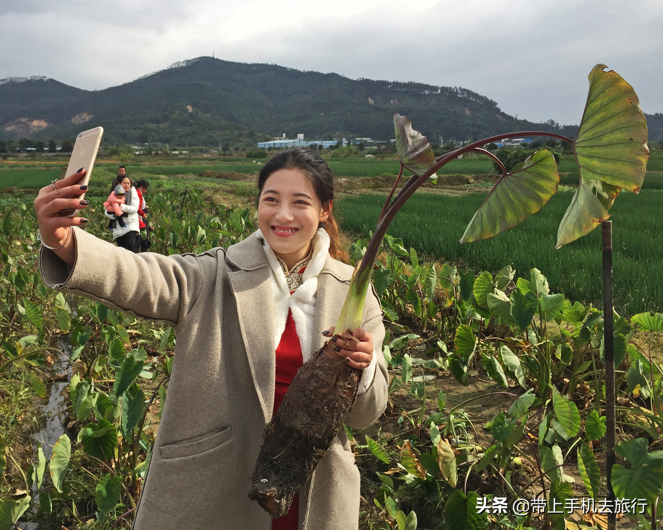 手机作品精准投稿16窍门