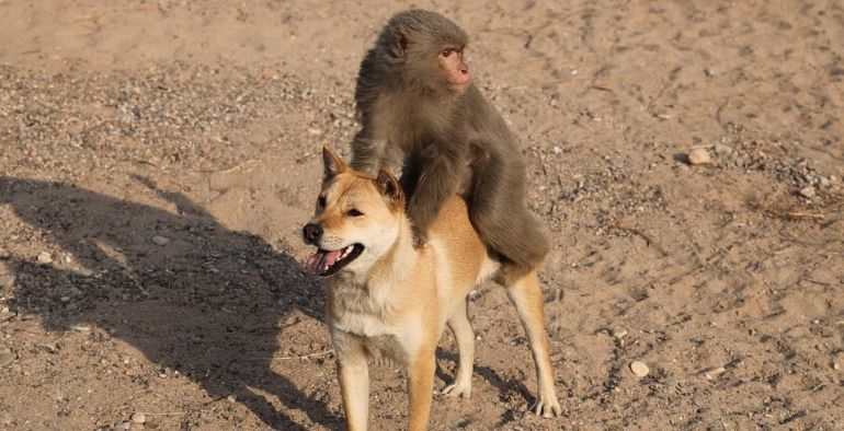 诛仙算烂片吗看完真实评价,诛仙为什么这么多人吐槽