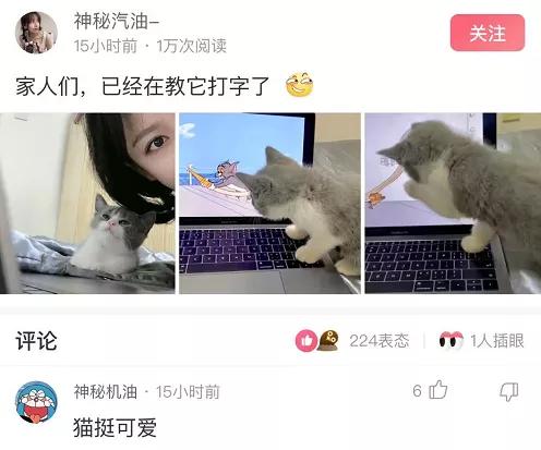 脚臭出汗挂什么科,脚臭怎么幽默回复