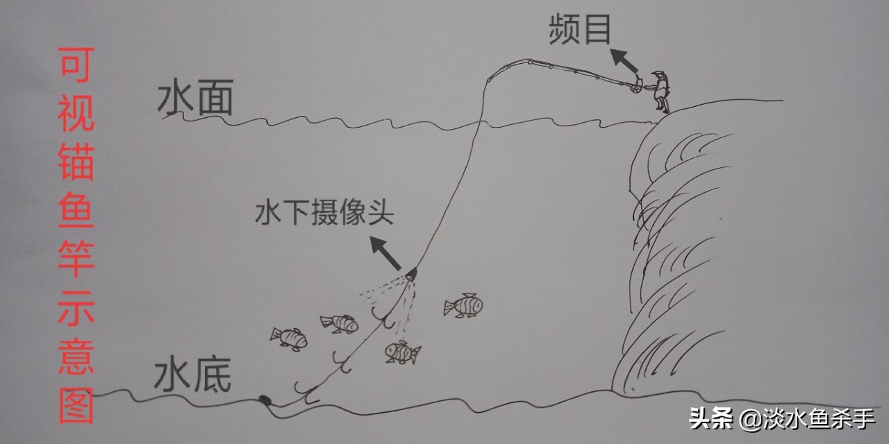 它是新时代的产物,却人人喊打,深析:“锚鱼”不为人知的秘密