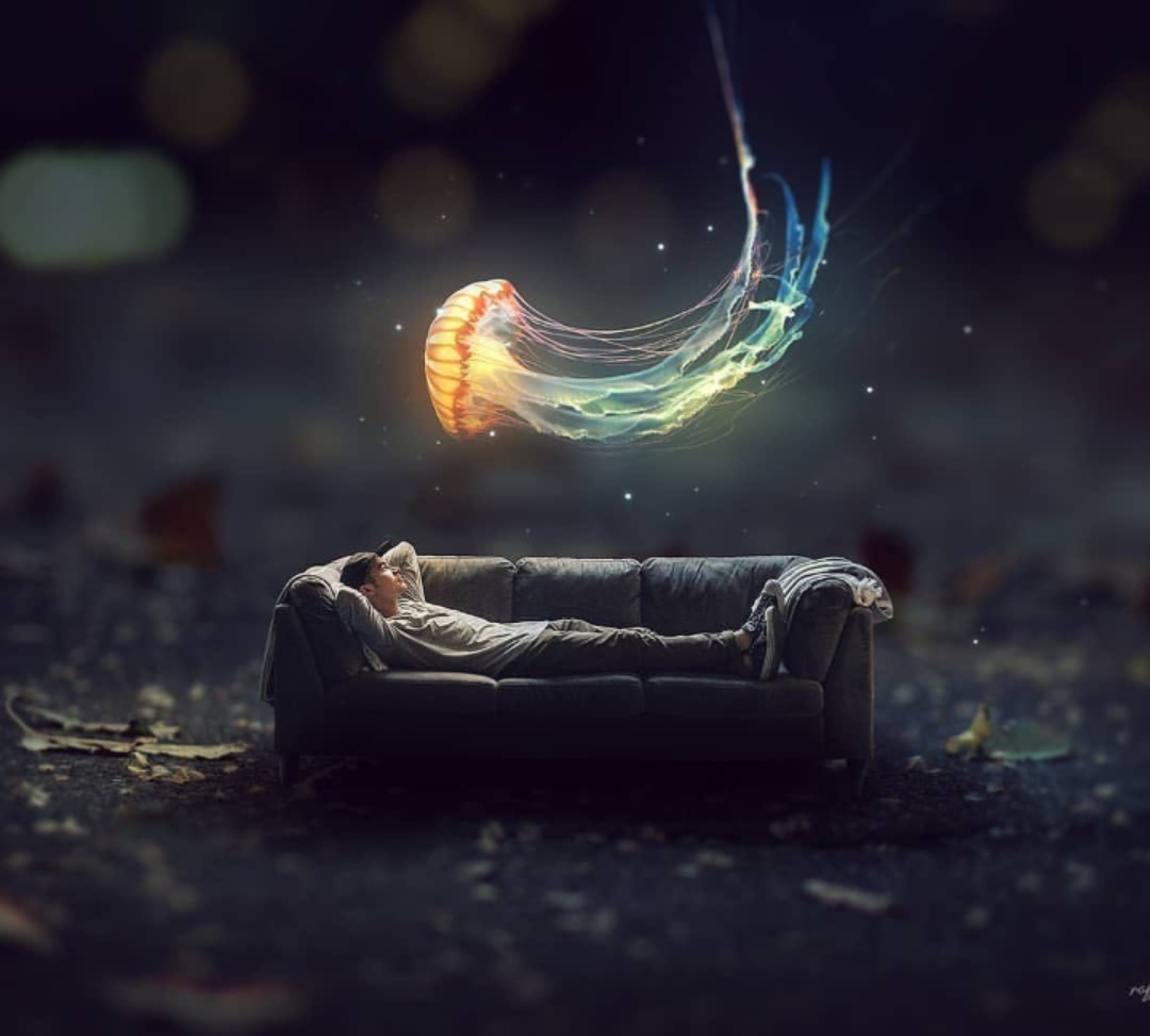 从零开始记录我的创业历程,我和创业的故事