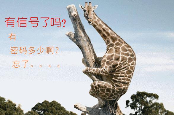 为什么自家wifi自己改密码,家里的无线网wifi怎么改密码