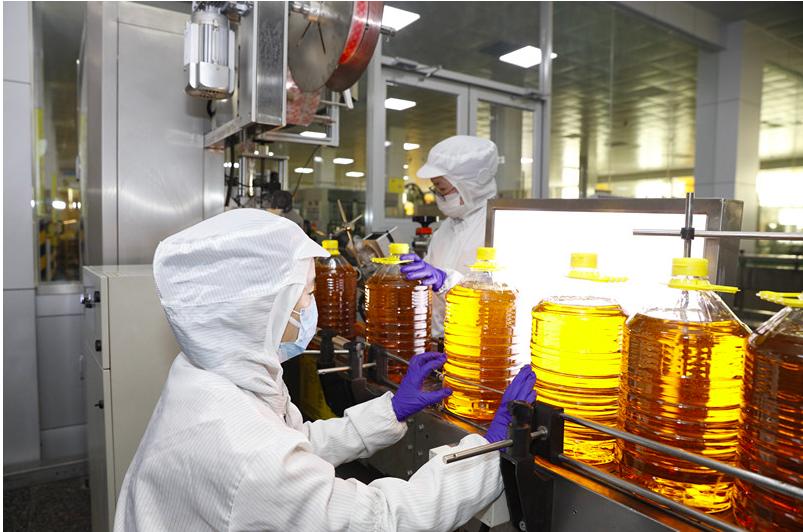 农村压榨的花生油安全吗,农村自榨花生油真的不安全吗