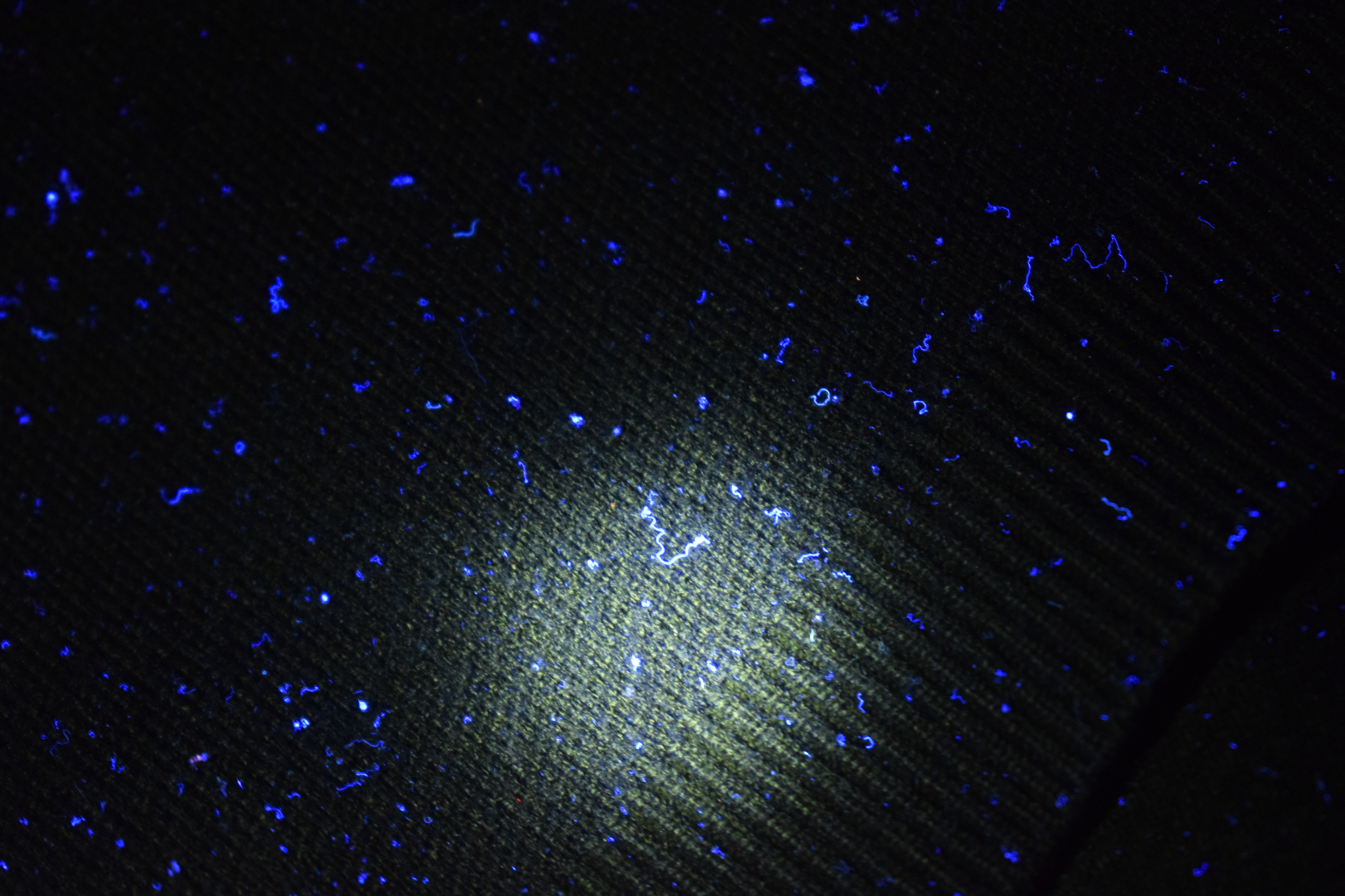 olight鍌查浄baldrs灏忓瀷寮哄厜鎴樻湳鎵嬬數,鍌查浄i5t鎵嬬數娴嬭瘎