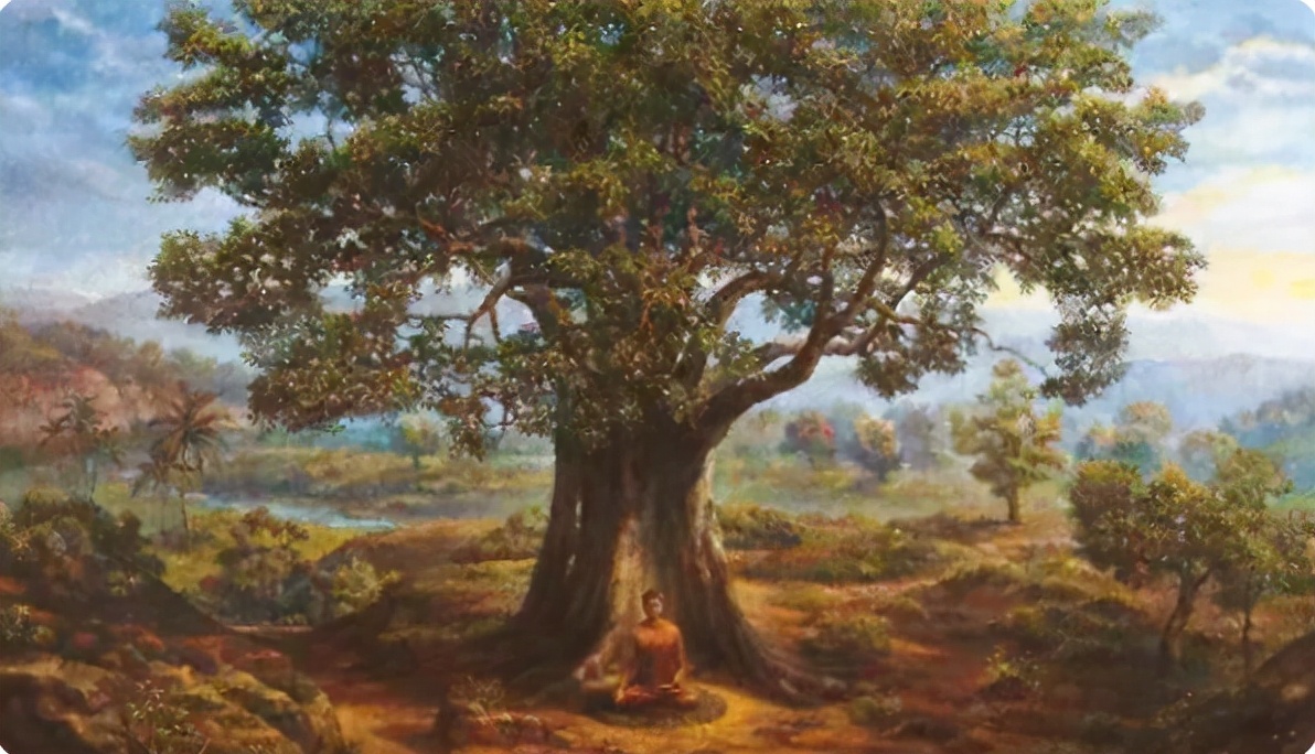 螺纹钢几月价格最高几月最低,年底螺纹钢价格会涨吗