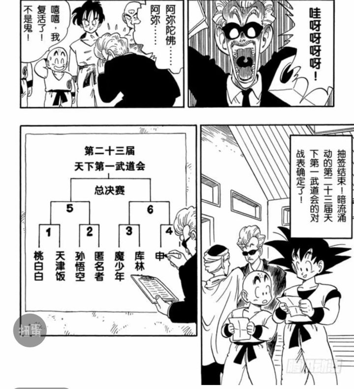 龙珠武道大会裁判有多强,龙珠中的第一武道会
