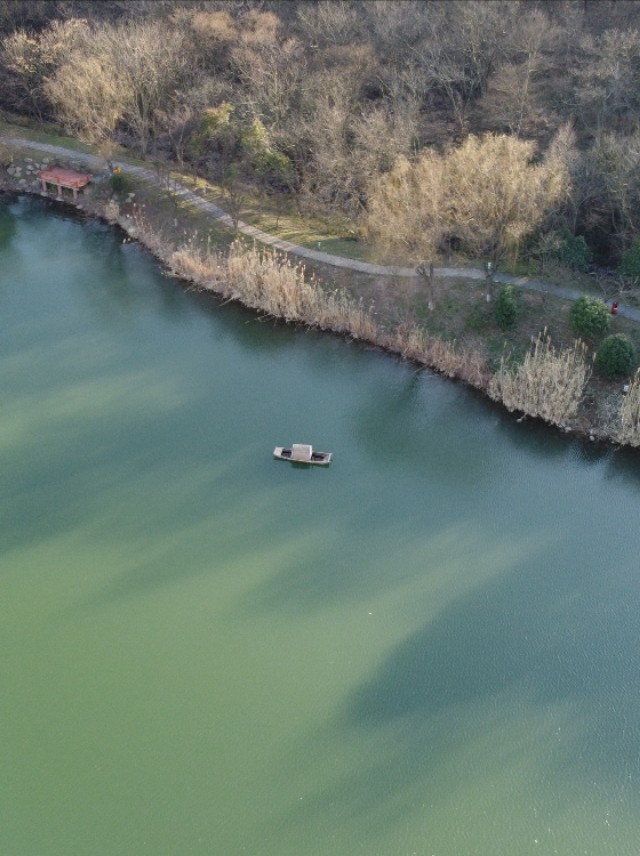 南京紫金山庄酒店,南京紫金山庄