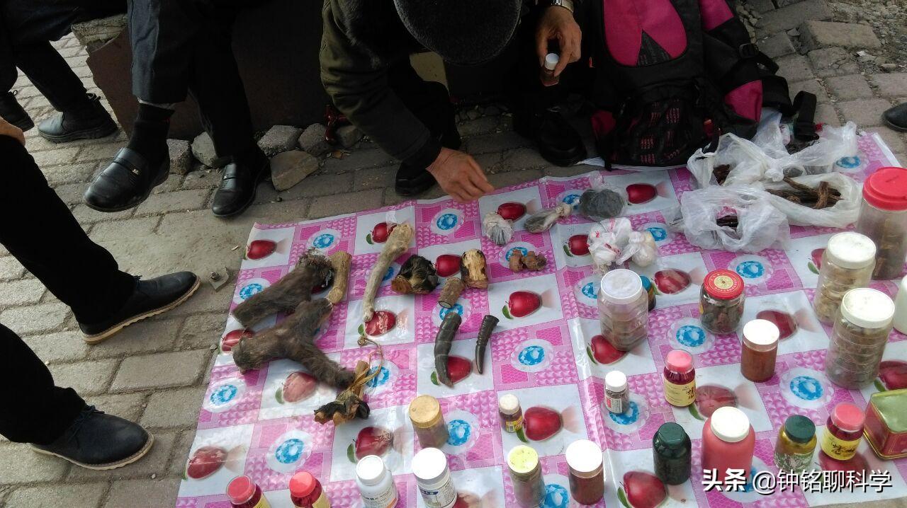 男子被蛇咬了毒蛇却奄奄一息,被毒蛇咬伤用什么蛇药