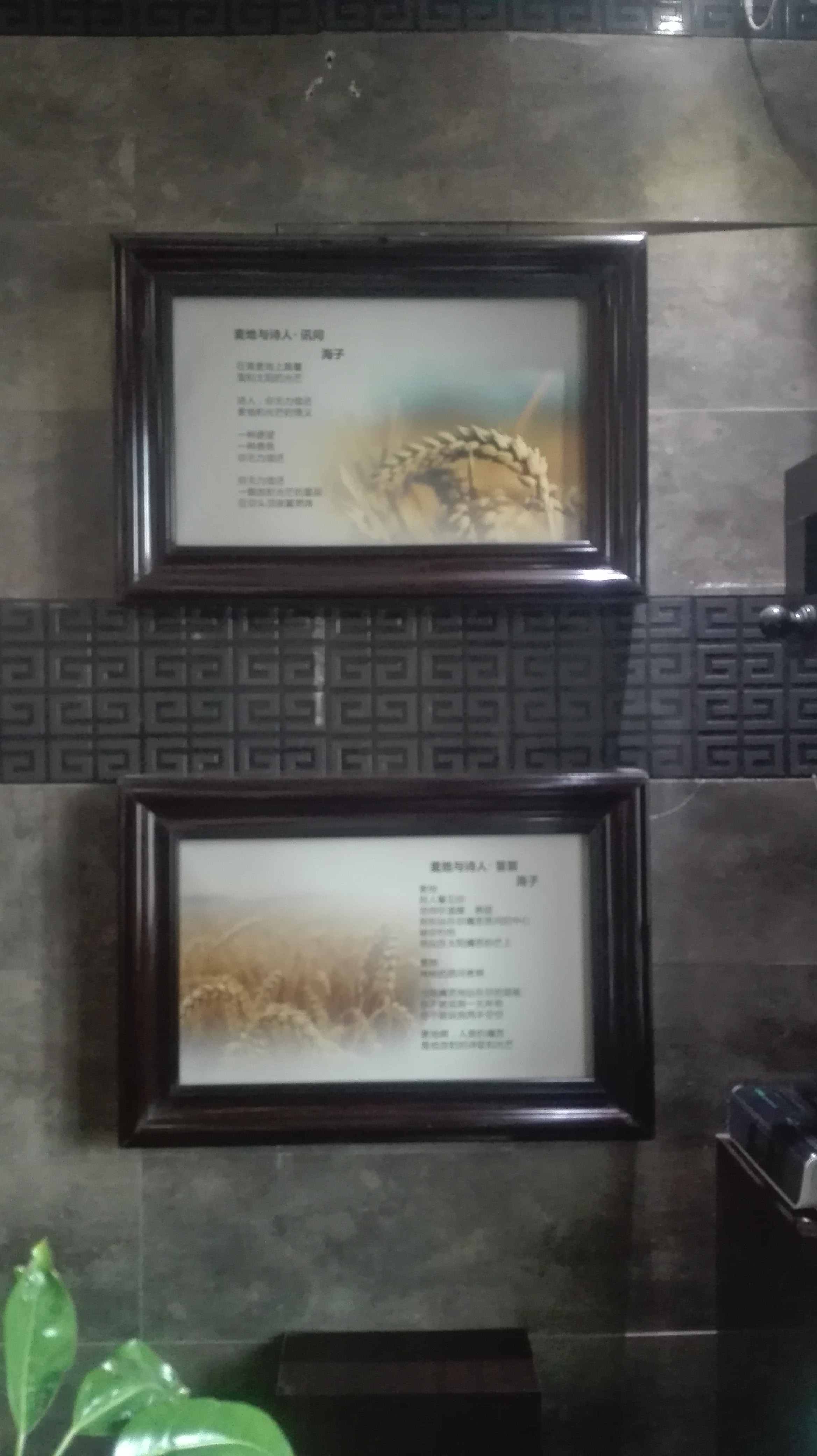 美丽的高原城市德令哈,德令哈一座安静的高原