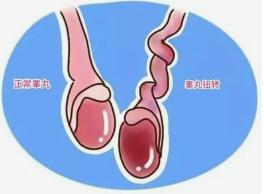 外卖小哥做梦日常,外卖小哥夜里惊醒