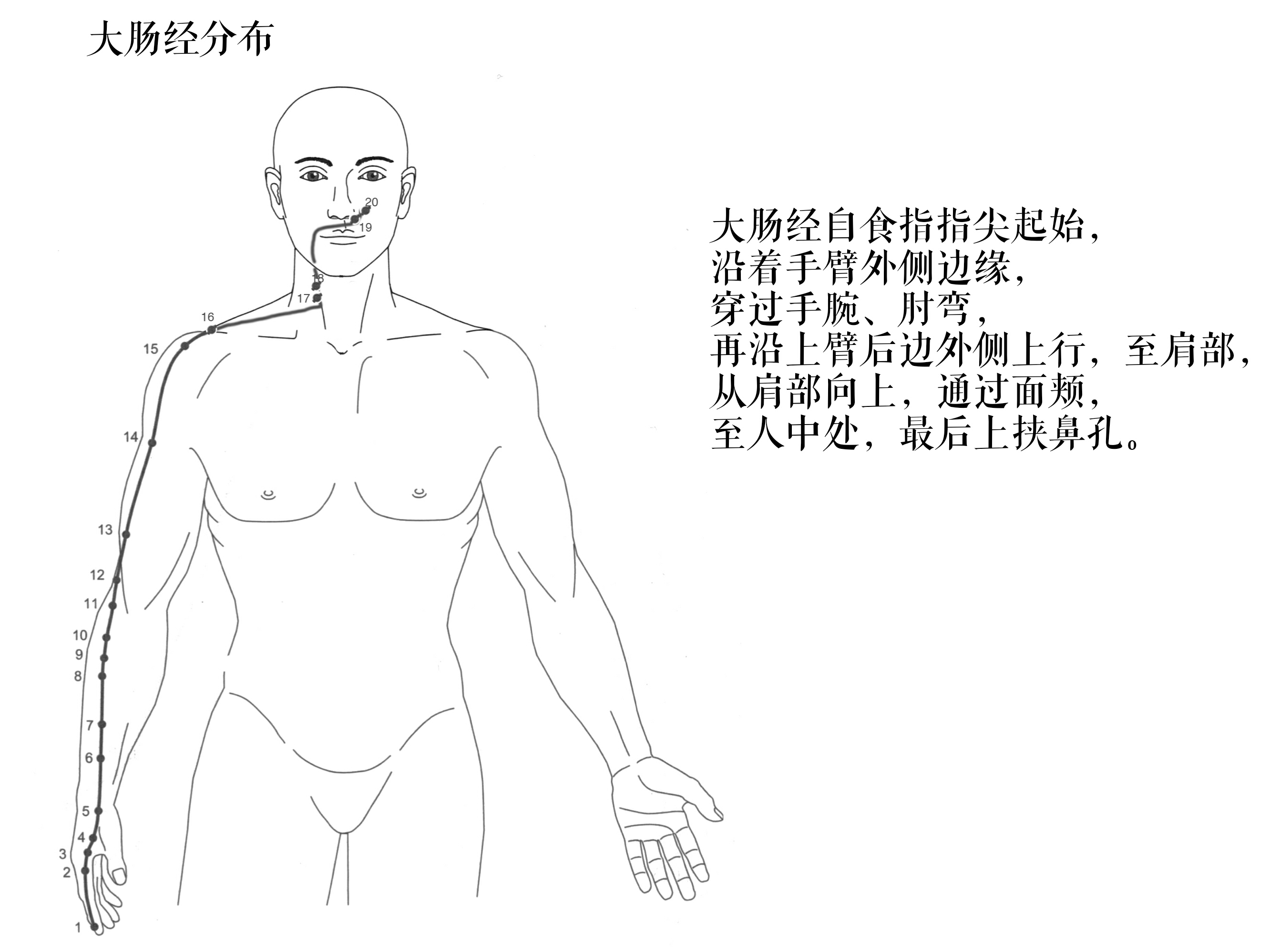 肩外侧痛怎么治疗,两肩外侧痛怎么回事