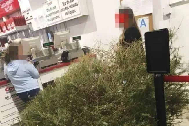 costco超市最新消息,costco超市经营理念