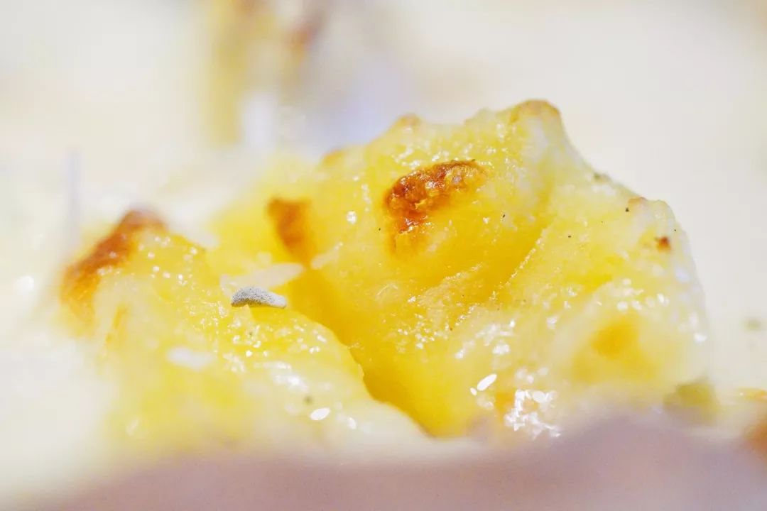 吃在济南｜麋鹿森林,满足你对美味的一切幻想|治愈你的心和胃！