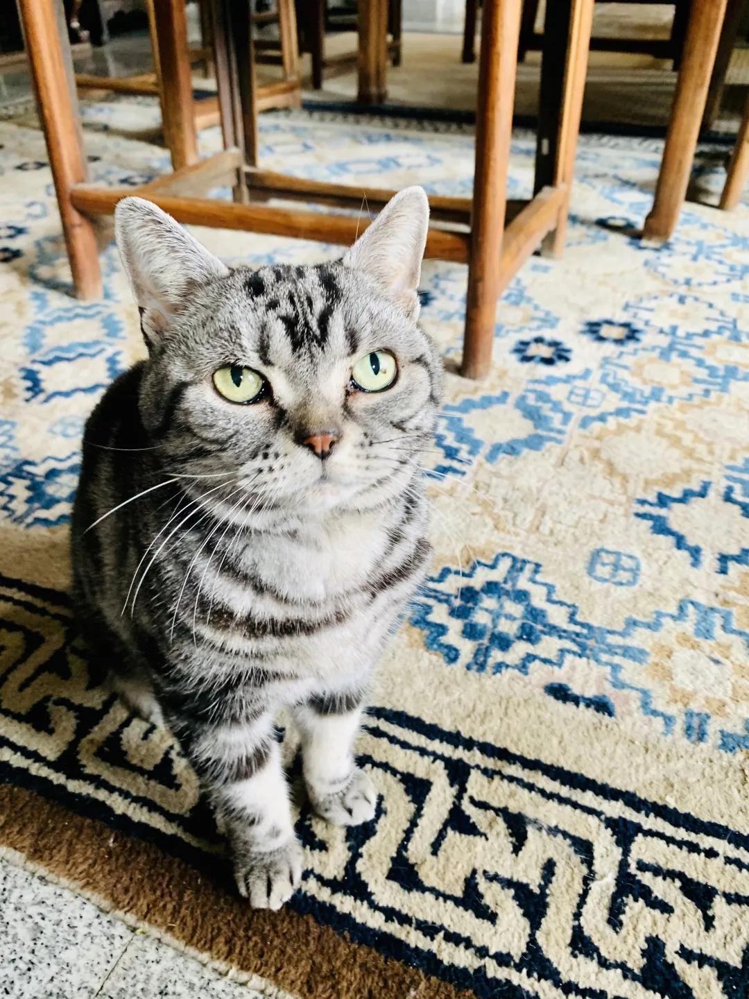 2019年掉缸事件,关于掉缸的事件