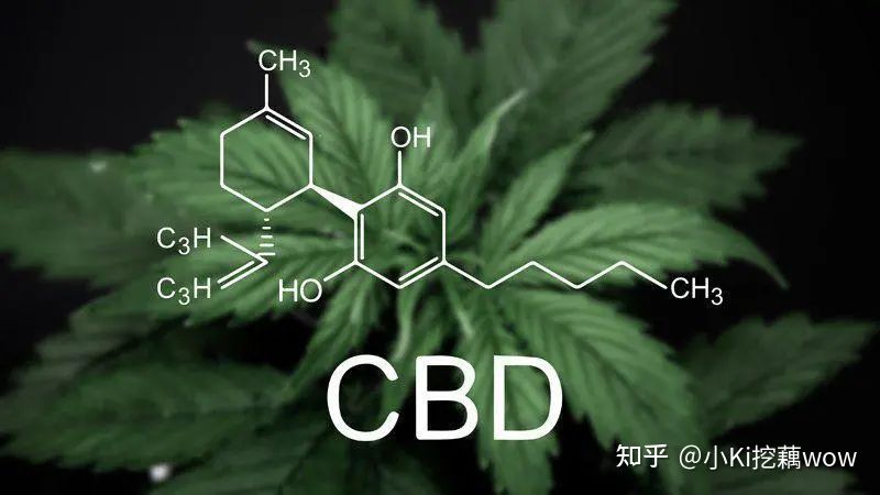 cbd成分为什么被禁用,cbd是什么成分的产品