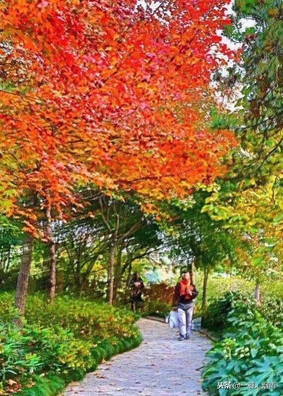 美丽的水乡周庄完整版,美丽的江南水乡充满诗情画意