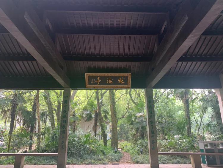 龙井村九溪十八涧徒步最佳路线图,九溪十八涧只有龙井村一个出口吗