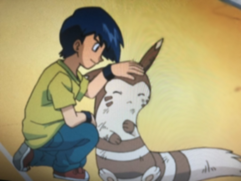 宝可梦可爱型,宝可梦真可爱