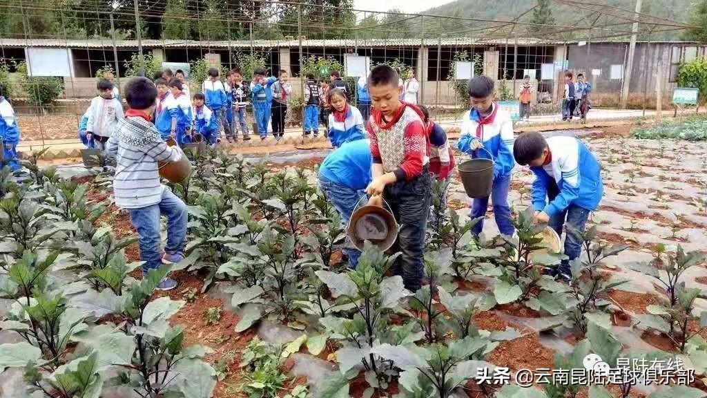 昆陆足球采访,昆陆足球