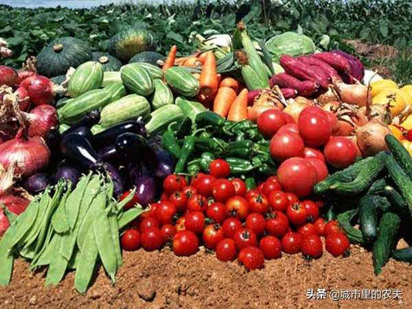 农村电商搭建综合服务平台,农村电商服务站如何聚集人气