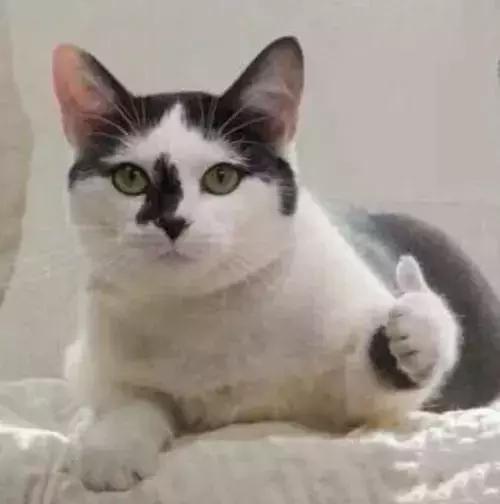 五一节假日用holiday还是vacation,假期是假期还是假期