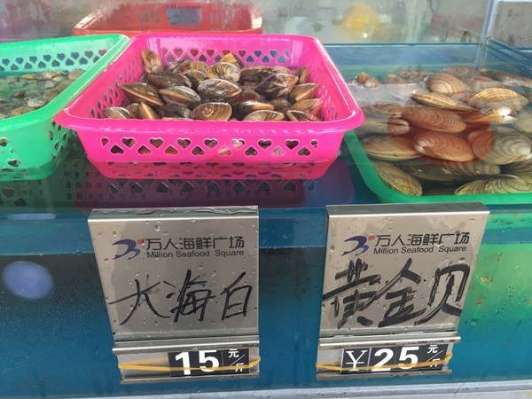 我的海南之旅作文,从海口到三亚感受海南的无限魅力