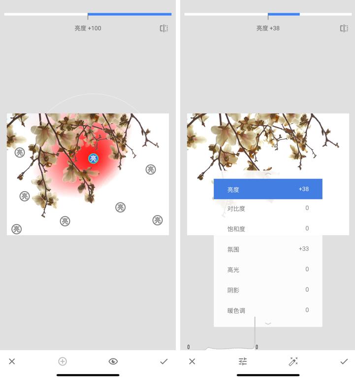 玉兰花下拍摄人像教程,水墨画玉兰花的创作和理念