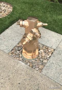 鸭类鸭类,鸭类品种大全