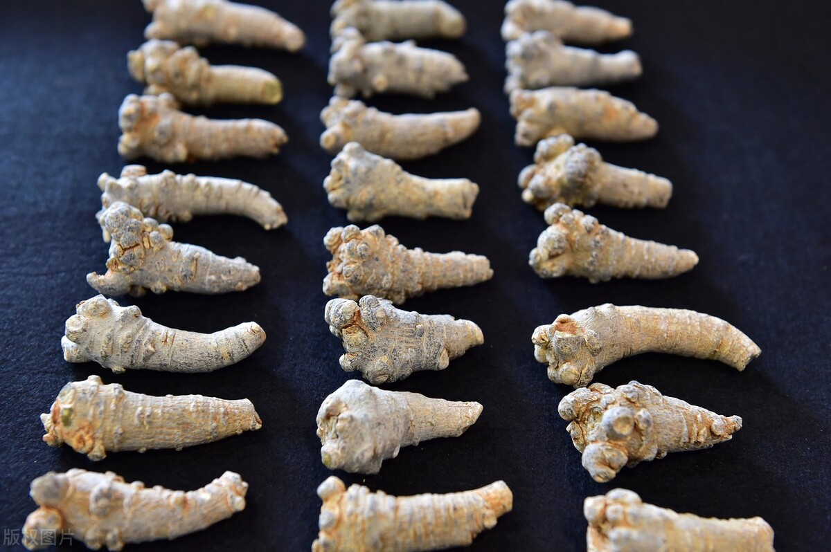 片仔癀药为什么那么贵,片仔癀最好用的药