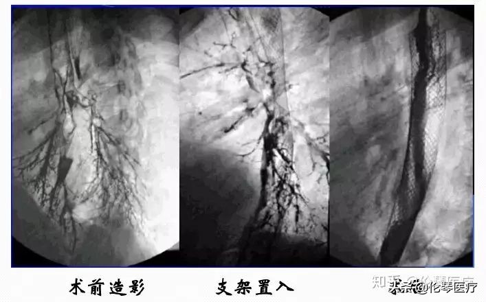 瑞金医院王忠敏,瑞金医院王忠敏简介