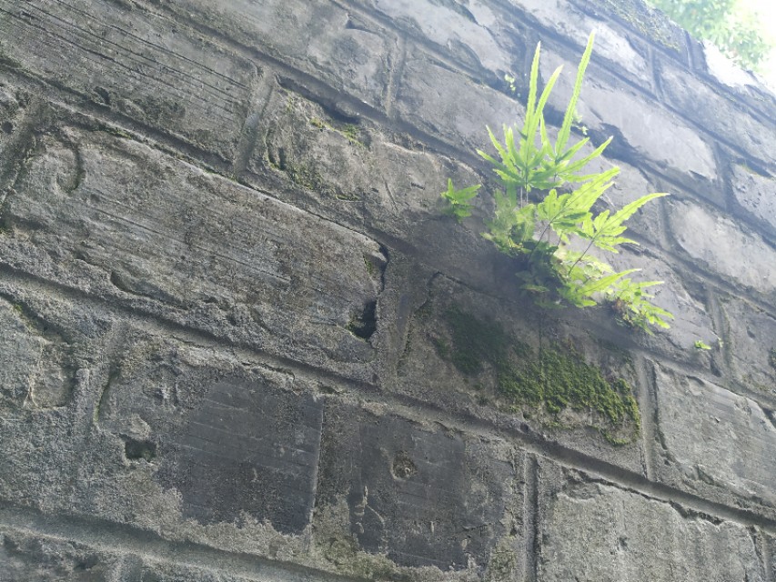 杭州古城门全景图,杭州十大古城门一日游